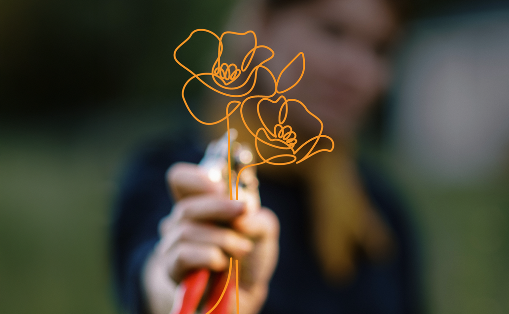 Flower illustration