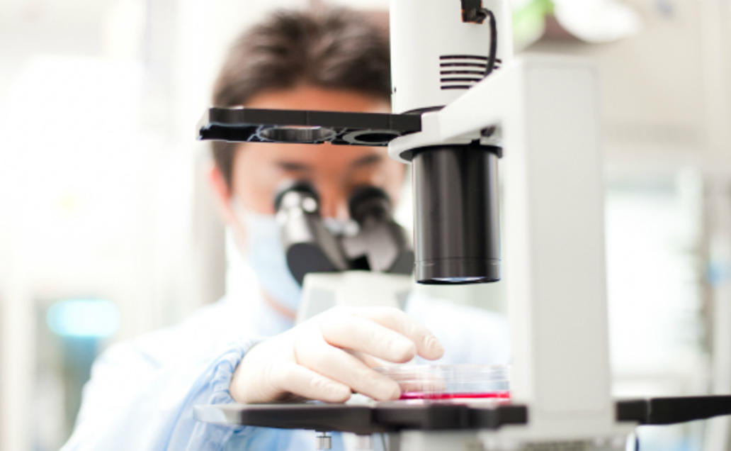 Scientific researcher looking through a microscope in a lab setting.