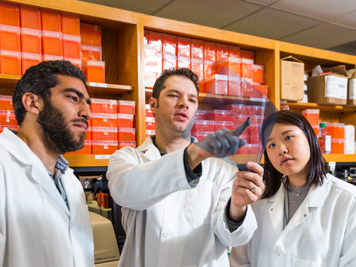 Three researchers looking at a slide in a laboratory