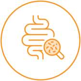 minimalist line drawing of a gut microbiome