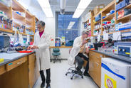 Do not use- Two researchers in a lab