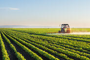 tractor sprays paraquat on crops