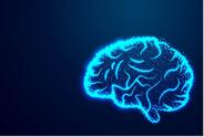 blue outline of brain