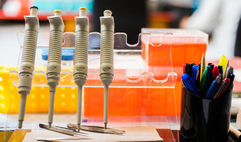 New Tool May Help Researchers Predict Cognitive Decline with Parkinson's Disease