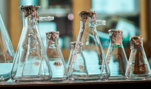 Laboratory Beaker Glasses