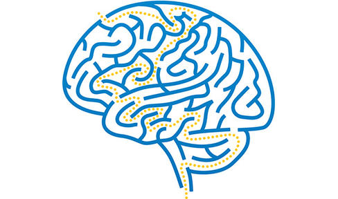 Ask the MD: Cognitive Changes in Parkinson's Disease