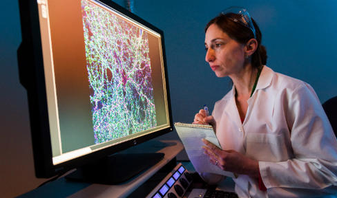 New Deep Brain Stimulation (DBS) System Approved for Parkinson's