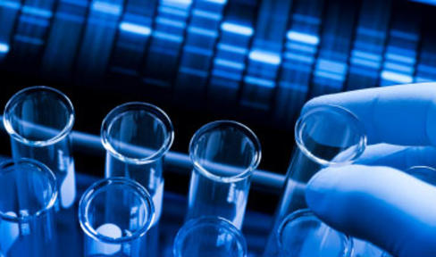 Funded Research: Dyskinesia Imaging, Telemedicine and Inflammation-Fighting Bacteria