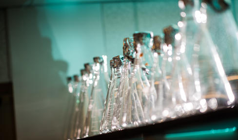 Beakers lined up.