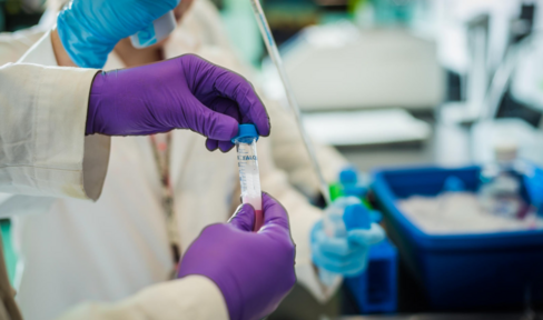 Two purple-gloved hands holding a test tube containing a pink liquid in a laboratory setting.