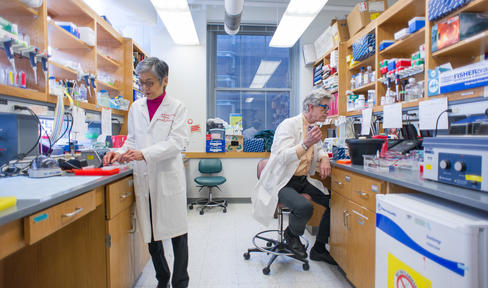 Do not use- Two researchers in a lab