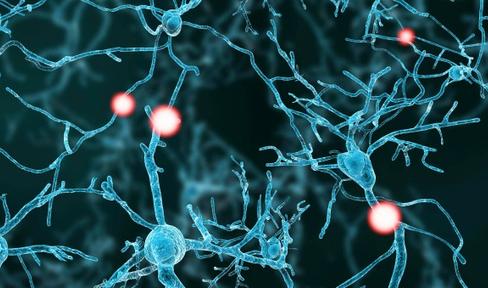 Spotlight on Parkinson's Research Progress at International Conference