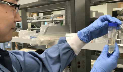 Therapy for Movement Symptoms Shows Positive Results in Parkinson's Model