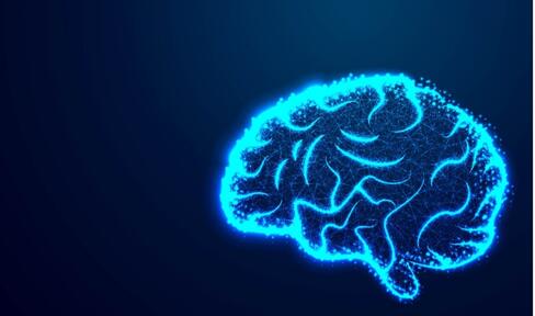 blue outline of brain