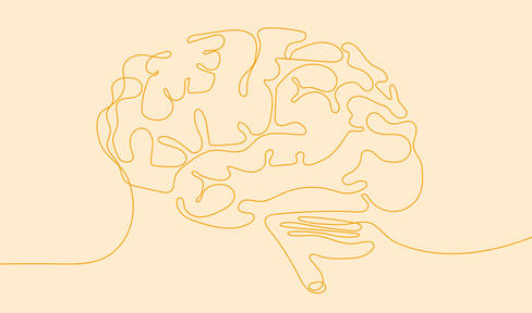 illustration of a brain