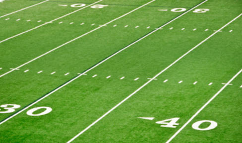 National Football League Donates Record $30 Million to Research on Head Trauma
