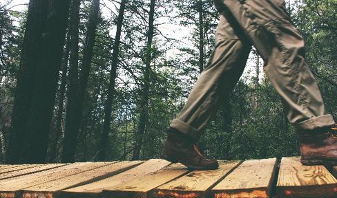 Nature Walks May Be Good for Your Brain, Study Finds