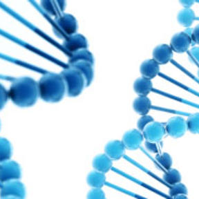 Podcast: Quicker Progress in Genetics