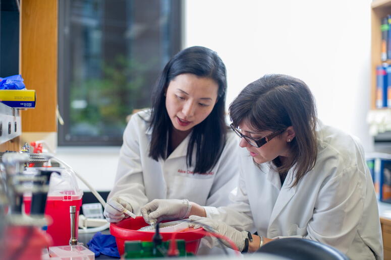 two researchers looking at test tubes