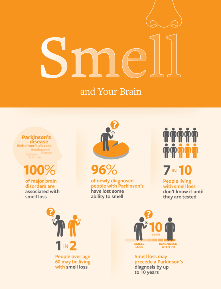 Smell Loss Infographic
