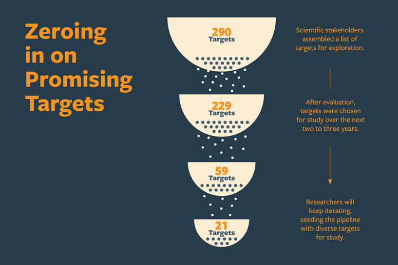 Zeroing in on Promising Targets Infographic