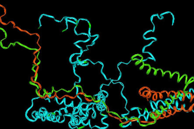 Does Alpha-Synuclein Spread in the Brain?