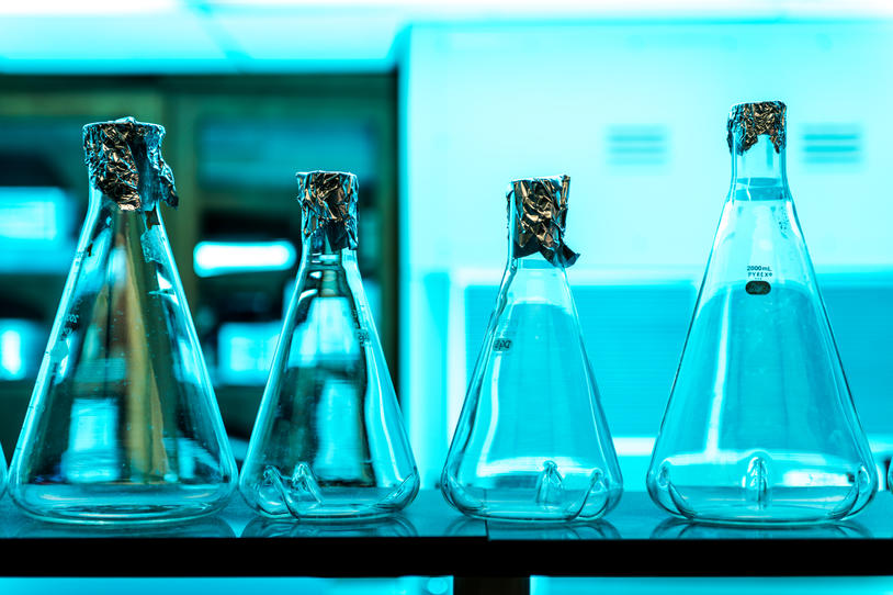 Four beakers lined up on a table in a lab.