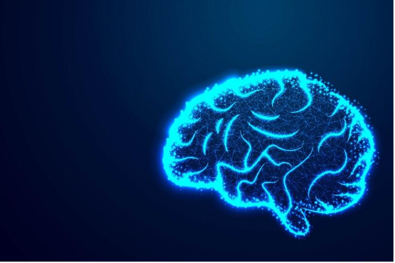 blue outline of brain