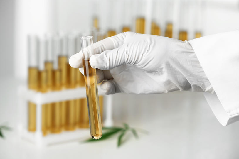 Researcher in lab holding test tube