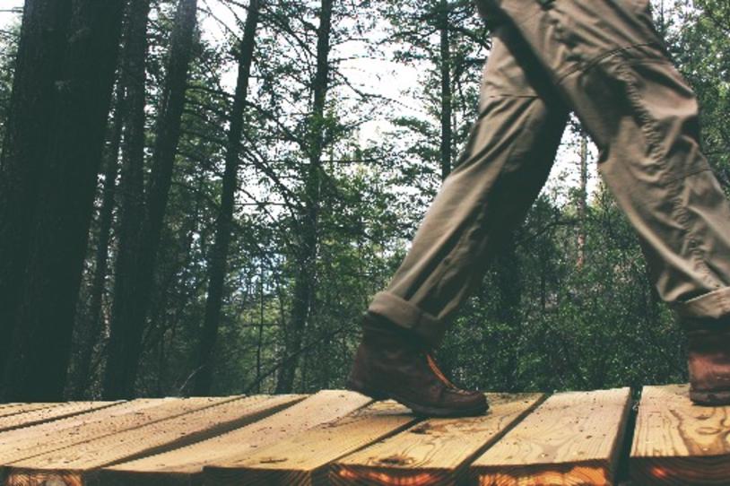 Nature Walks May Be Good for Your Brain, Study Finds