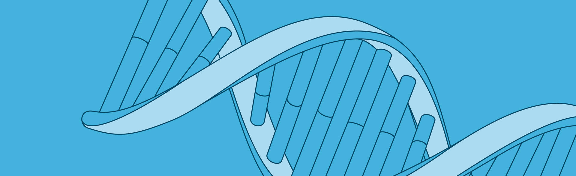 Illustrated close up of DNA.