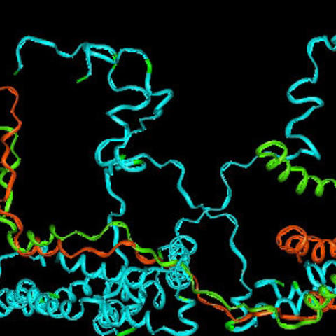 Podcast: Pursuing a Tool to Visualize Alpha-Synuclein in the Brain