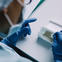 Scientist examining samples