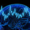 Traumatic Brain Injury Increases Parkinson's Risk