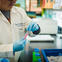 Scientist in lab holding up blood sample