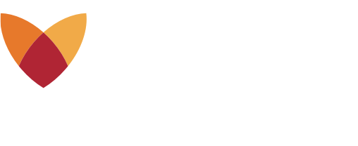 Fox Insight logo